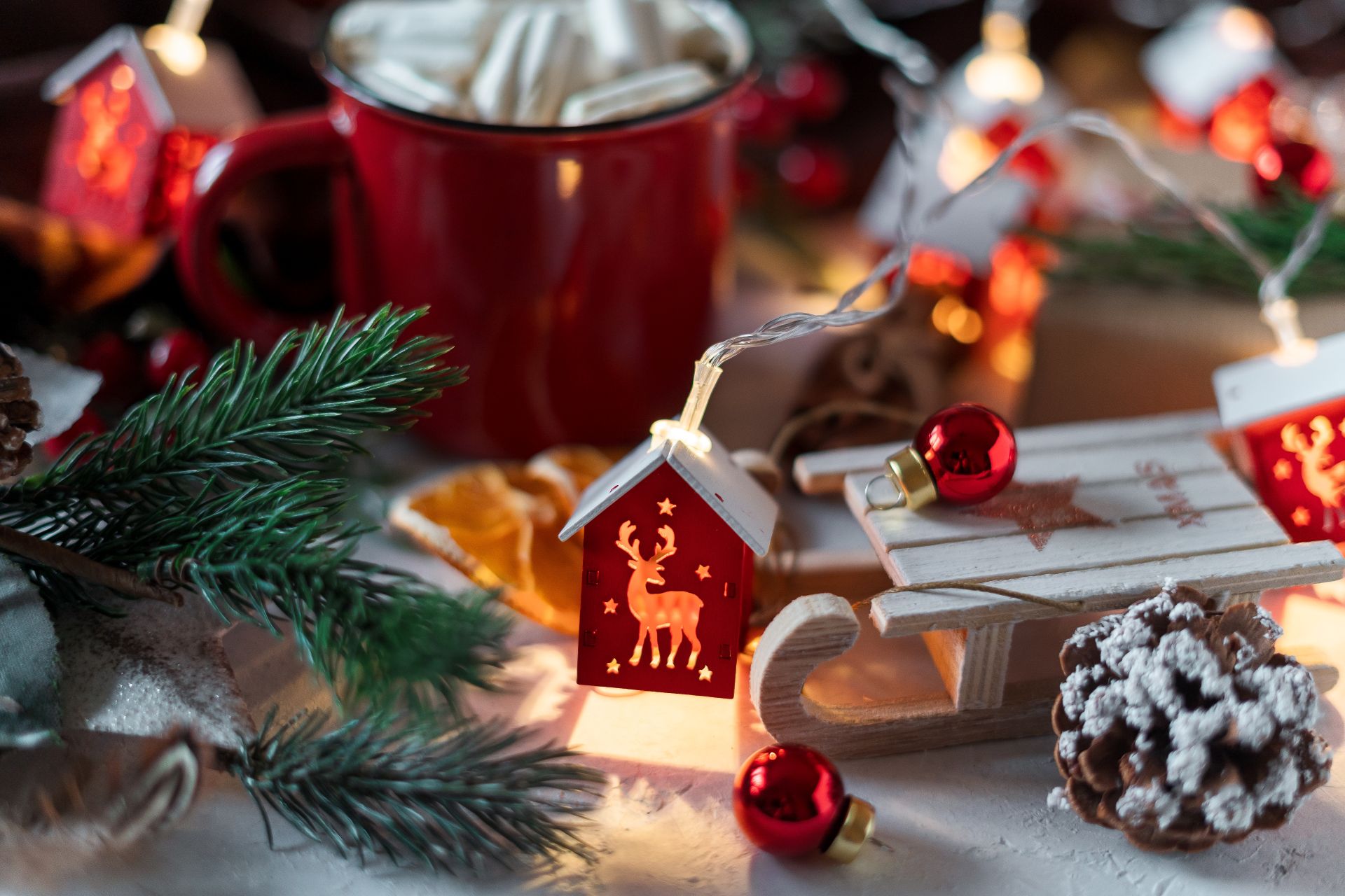 winter-hot-drink-cacao-with-marshmallows-and-cinn-2024-11-26-00-40-46-utc (1)